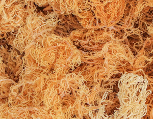 St. Lucian Wild Crafted Sea Moss